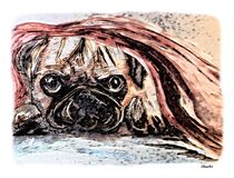 Pug Under a Blanket by eloiseart