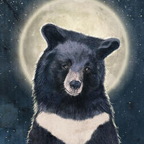 Moon Bear Portrait by Paula  Belle Flores
