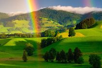 Rainbow by magnoliam