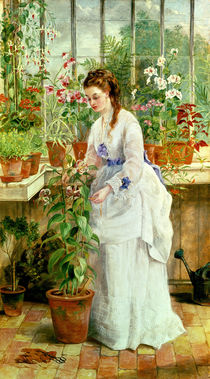 Young Lady in a Conservatory  by Jane Maria Bowkett