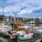 Kyrenia-harbour-0495