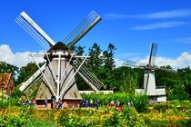 historische Windmühlen by Edgar Schermaul