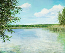 Lake near Muencheberg / See bei Muencheberg by artdemo