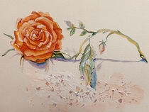 an orange rose by Myungja Anna Koh
