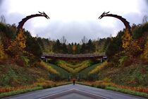 Drachenbrücke gespiegelt von Edgar Schermaul