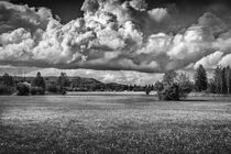 Wolkenfelderwiesen von Tom Kappler