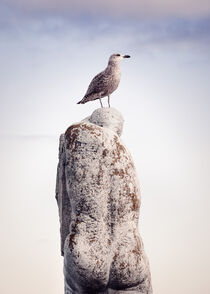 Möwe auf Statur vor Wolken an der Nordsee by Holger Brandt