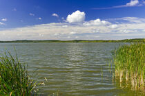 Blick auf den Zierker See im Sommer by Stephan B. Schäfer
