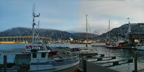 Tromsø Hafen by Edgar Schermaul