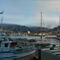 Tromso-hafen