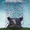 A-bears-dream-3
