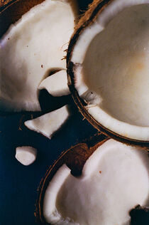"Coconut" by Polina Ruzhinskaya