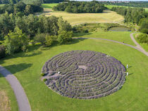Lavendel-Labyrinth by Christoph Hermann