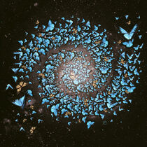 'Butterfly Galaxy' von Paula  Belle Flores
