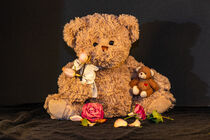Teddy bear with roses isolated against a dark background by Margit Kluthke