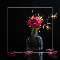 Red rose in a glass vase with a sparkler and frame against a dark background and reflective glass surface von Margit Kluthke