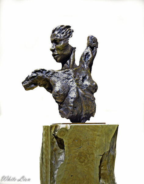 Bronze-female-torso-1