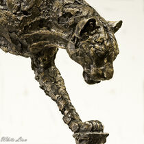Bronze Leopard by Iain Baguley