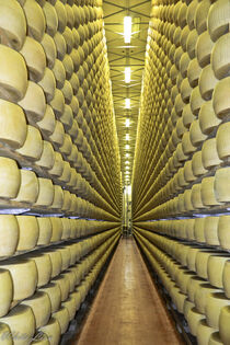 Parmesan Cheese  von Iain Baguley