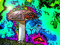 Mushroom von Phil Perkins
