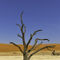 Dead-vlei-standing-tall-sussusvlei-namibia-1