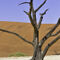 Dead-vlei-tree-sussusvlei-namibia-1