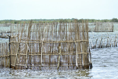 Fishing-nets-mozambique-1