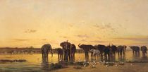 African Elephants  by Charles Emile de Tournemine