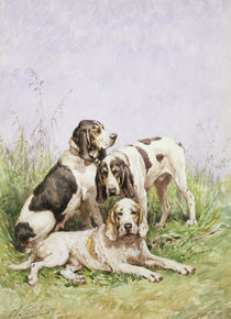A Group of French Hounds  by Charles Oliver de Penne