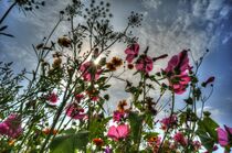 Gartenblumen by Edgar Schermaul