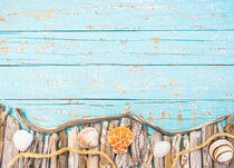 Background decoration with seashells, rope and driftwood border by Alex Winter