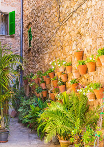Old village of Valledemossa on Majorca with traditional flower pots decoration, Spain by Alex Winter