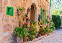 Old village of Valldemossa, traditional house entrance, Majorca, Spain  by Alex Winter