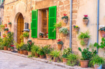 Beautiful plant street in the old village Valldemossa, Majorca Spain von Alex Winter