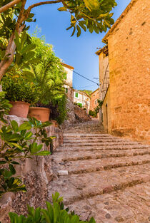 Fornalutx, old mediterranean village on Majorca island, Spain, Balearic Islands von Alex Winter