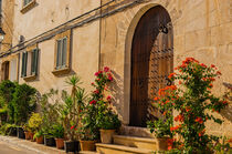 Front door with flower pots in Alcudia on Majorca, Spain, Balearic islands by Alex Winter