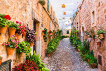 Majorca, beautiful street in the old village of Valldemossa, Spain by Alex Winter
