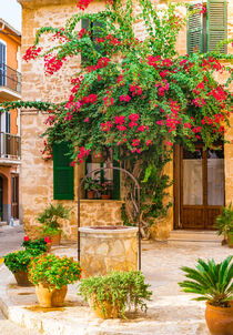 Mediterranean house with flowers on Mallorca, Spain, Balearic islands, Majorca von Alex Winter
