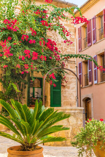 House with beautiful flowers on Majorca island, Spain Balearic islands von Alex Winter