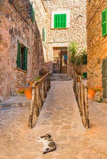 Valldemossa village on Majorca island, Spain von Alex Winter