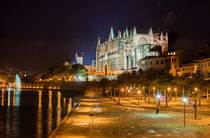 Palma de Majorca, Cathedral La Seu and Parc de la mar at night by Alex Winter