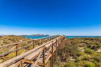 Sand dunes to the beach of Alcudia bay on Majorca, Spain, Mediterranean Sea by Alex Winter