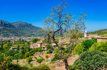 View of Soller and Biniaraix on Mallorca, Spain by Alex Winter