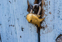 Padlock in fish design, maritime background by Alex Winter