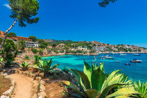 Cala Fornells beach bay on Majorca island, Spain, Mediterranean Sea, Mallorca von Alex Winter