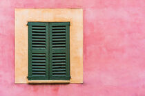 Wooden old green mediterranean window shutters and wall background von Alex Winter