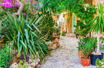 Rustic mediterranean house with flower pots and potted plants garden von Alex Winter