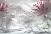 Weiße Kornblume in kristallklarem Eis 3 by Marc Heiligenstein