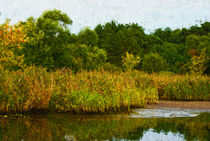 Herbst im Havelland. Fluss Havel mit Schilf. Gemalt. von havelmomente