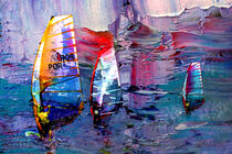 The Art Of Windsurfing by Miki de Goodaboom